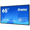 Digitaalinen infonäyttö IIYAMA LH6552UHS-B1 64,5 tuumaa IPS 4K 3840x2160 500 cd/m² Android 8.0 24/7 musta