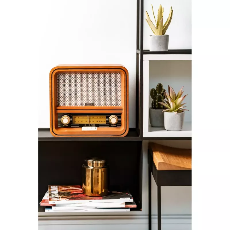 Henkilökohtainen radio Camry Premium CR 1188