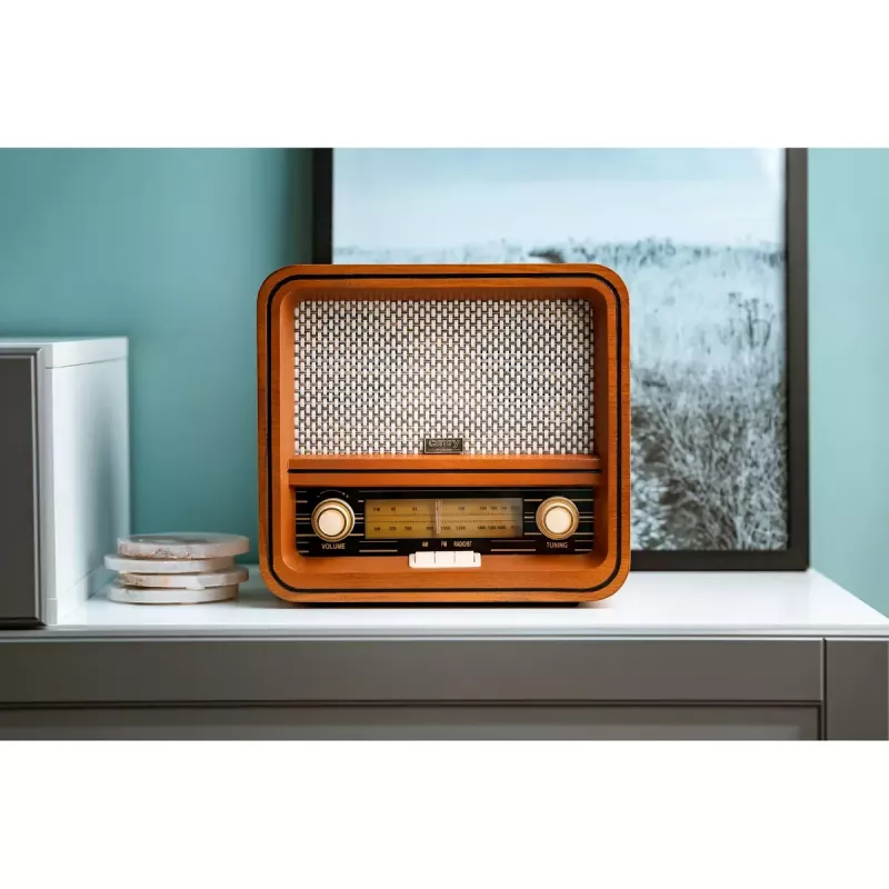 Henkilökohtainen radio Camry Premium CR 1188