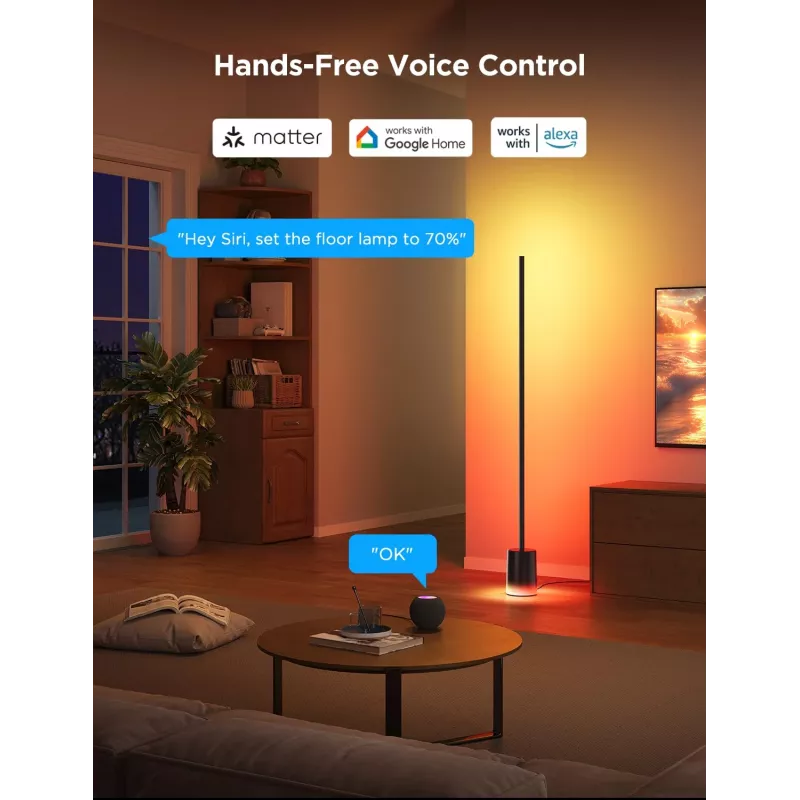 Govee Floor Lamp 2 lattiavalaisin, Matter ready, musta