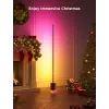 Govee Floor Lamp 2 lattiavalaisin, Matter ready, musta