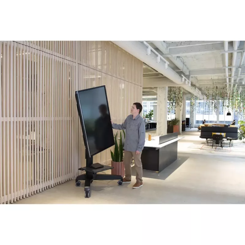 Multimediavaunu Ergotron Neo-Flex Mobile MediaCenter VHD