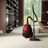 Electrolux PD82-ANIMA 3,5 L sylinteripölynimuri kuiva 600 W pölypussi