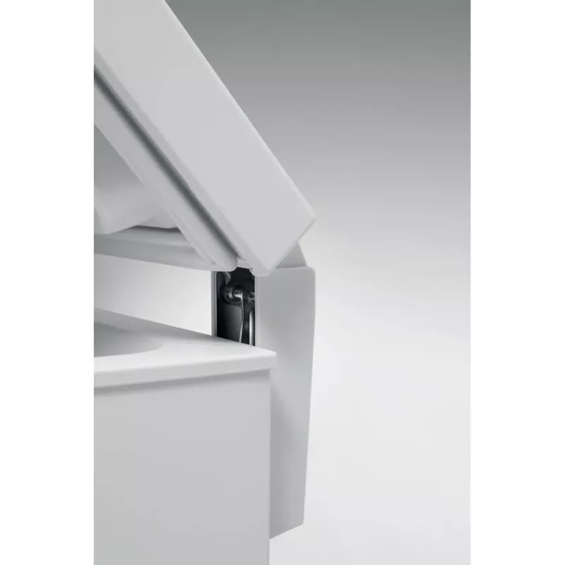 Whirlpool WHE 4602 pakastin vapaasti sijoitettava 437 L valkoinen
