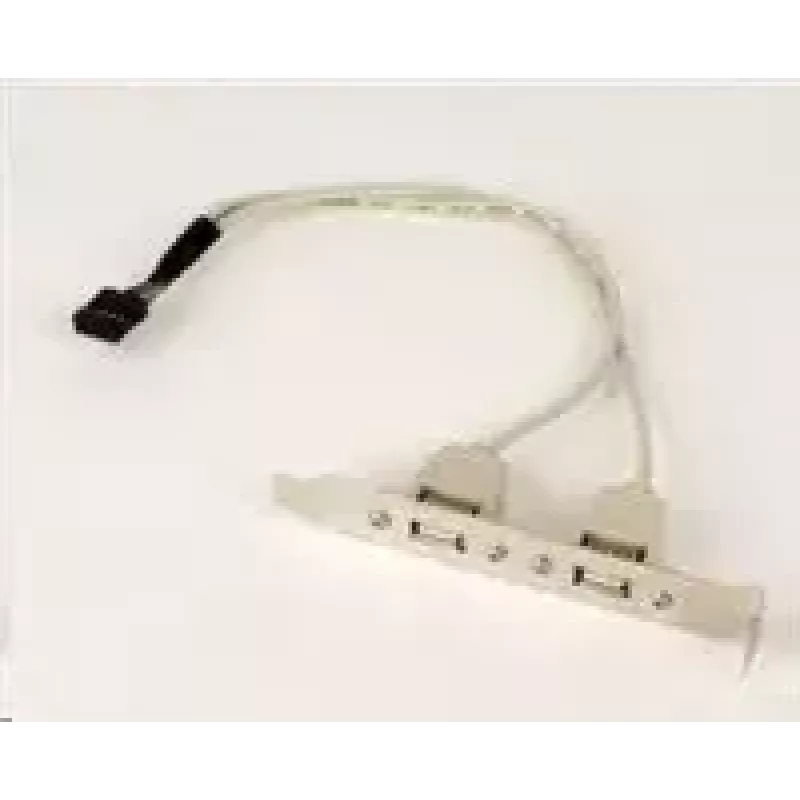Gembird CCUSBRECEPTACLE liitäntäkortit/sovittimet sisäinen USB 2.0