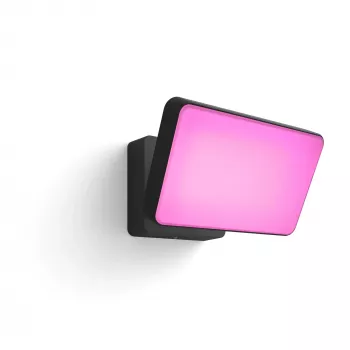 Älykäs seinävalaisin Philips Hue Discover Outdoor Floodlight LED musta 24V
