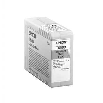 Epson yksittäispakkaus vaaleanvaaleanmusta T850900, vaaleanvaaleanmusta, pigmenttimuste, 80 ml, 1 kpl