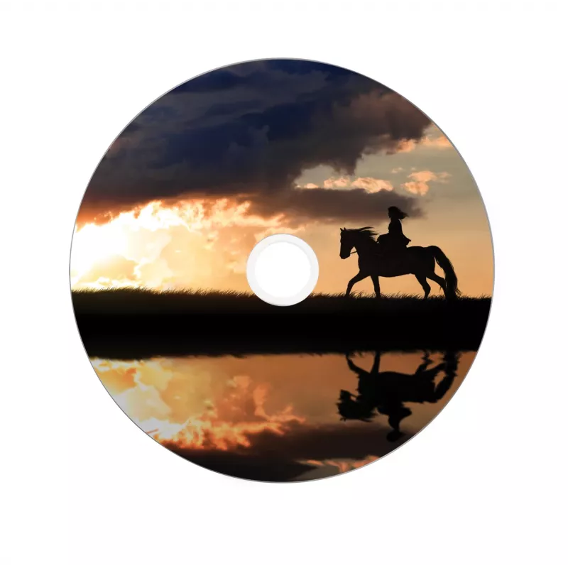 Verbatim 43667 tyhjä DVD 8,5 GB DVD+R DL 25 kpl