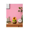 Nintendo Talking Flower, keräilyhahmo, videopeli
