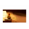 Nintendo Talking Flower, keräilyhahmo, videopeli