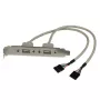 StarTech.com 2 portin USB A naaras korttipaikkasovitin, 2 x IDC, 2 x USB A, 0,286 m, hopea