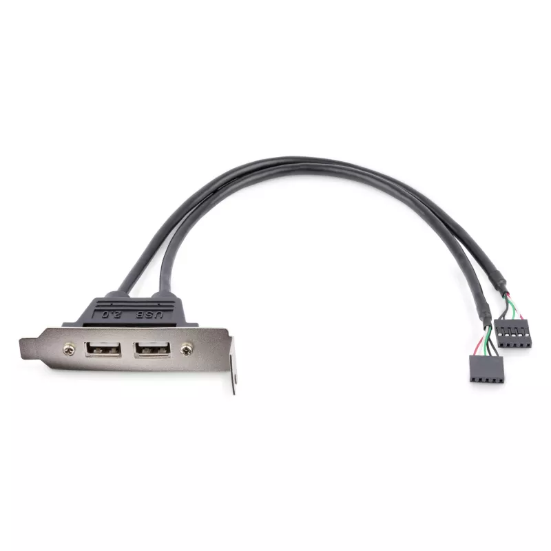 StarTech.com 2-porttinen USB-A-naaras matalaprofiilinen slot-levysovitin