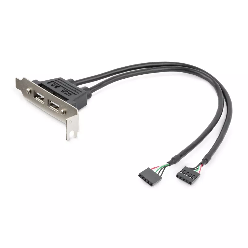 StarTech.com 2-porttinen USB-A-naaras matalaprofiilinen slot-levysovitin