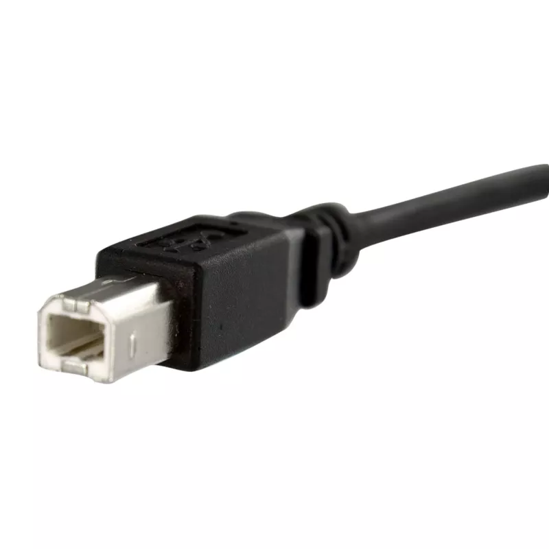 StarTech.com 1 ft paneeliasennettava USB-kaapeli B - B – naaras/uros, 0,3 m, USB B, USB B, USB 2.0, 0,48 Gbit/s, musta