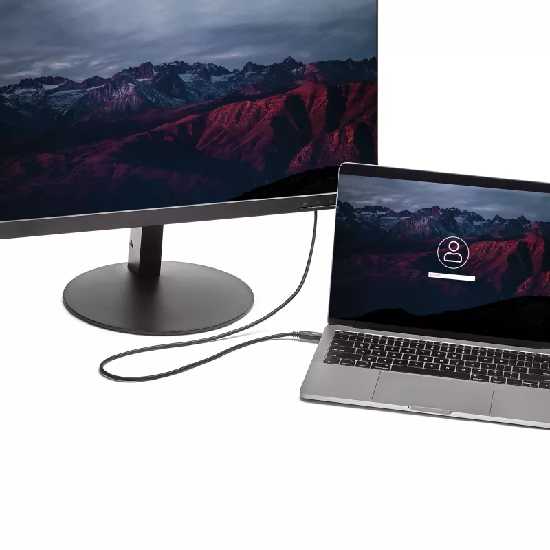 StarTech.com 2 m USB-C-DVI-kaapeli – 1920 x 1200 – musta