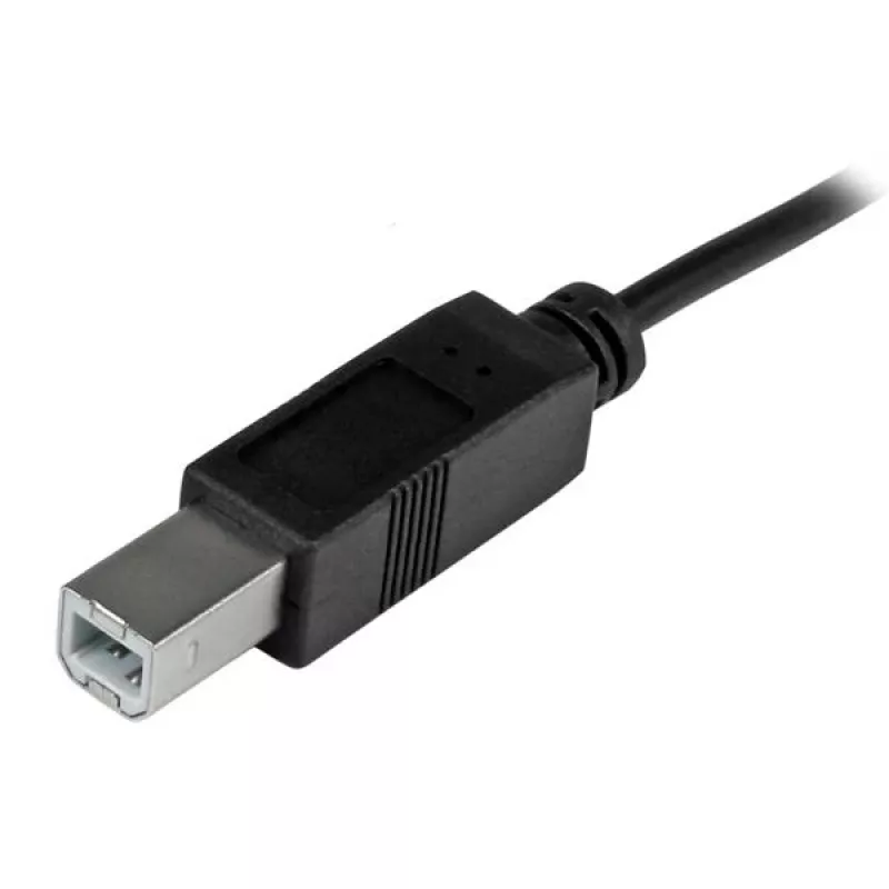 StarTech.com USB-C-USB-B-kaapeli – M/M – 2 m (6 ft) – USB 2.0