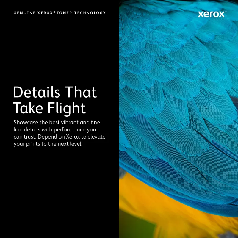 Xerox 106R03768 värikasetti 1 kpl alkuperäinen syaani