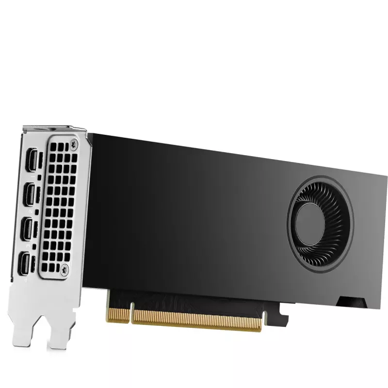 HP NVIDIA RTX 2000 Ada 16GB GDDR6 -näytönohjain, 4x Mini DisplayPort (8D6B8AA)