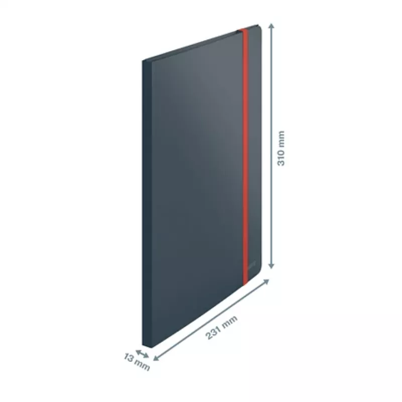 Leitz Cosy Mobile Display Book Plus, harmaa, polypropeeni (PP), 20 taskua, pysty, A4, 231 mm