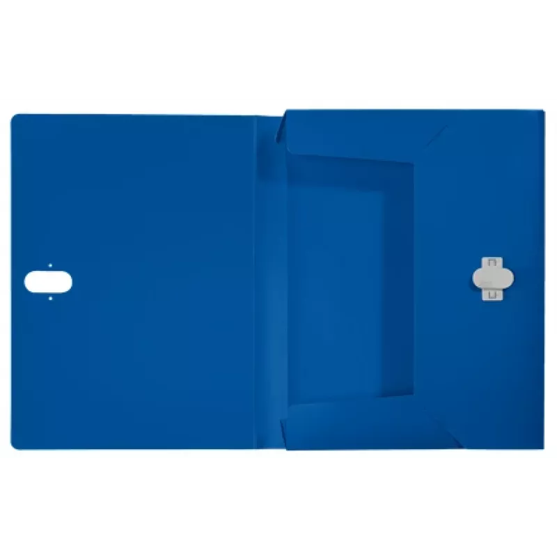 Leitz Recycle Box File, perinteinen arkistokansio, A4, polypropeeni (PP), sininen, vaaka/pysty, 250 arkkia