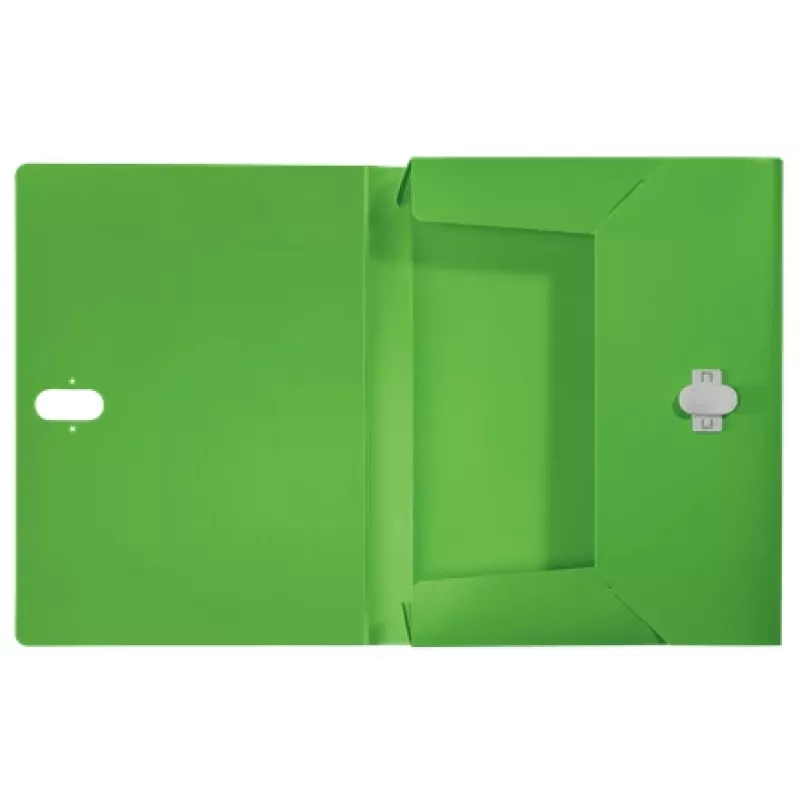 Leitz Recycle Box File, perinteinen arkistokansio, A4, polypropeeni (PP), vihreä, vaaka/pysty, 250 arkkia