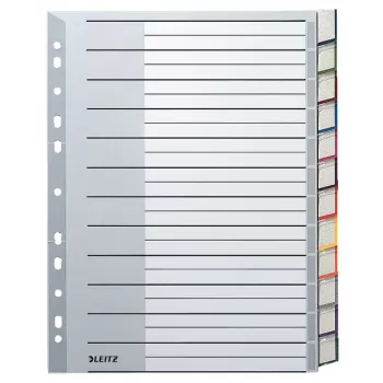 Leitz 12740000 blanko-välilehti pahvi harmaa, valkoinen