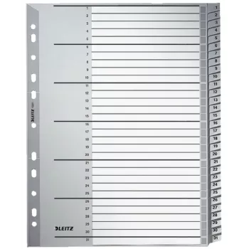 Leitz 12810000 numeerinen välilehti pahvi harmaa