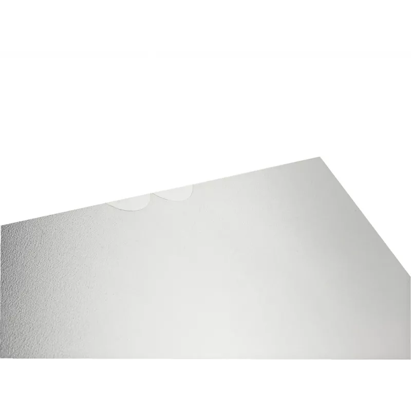 Leitz 47200003 kirkas muovitasku A4 polypropeeni (PP)