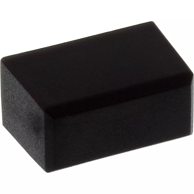 InLine pölysuojus DisplayPort-pistokkeelle, musta, 50 kpl