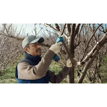 Bosch Pro Pruner Professional akkukäyttöinen ruohosakset 2,5 cm 12 V litiumioni (Li-Ion) musta, sininen