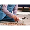 schleich BAYALA 14916 lasten leikkifiguuri