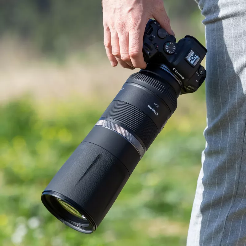 Canon RF 800mm F11 IS STM objektiivi, teleobjektiivi, 11/8, Canon RF