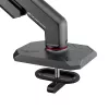 ASUS AAS01R 124,5 cm (49