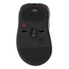 ZOWIE EC3-DW hiiri pelikäyttöön oikeakätinen USB Type-A optinen 3200 DPI