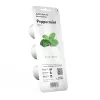 Yrttiruukku EMSA Click & Grow piparminttu