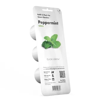 Yrttiruukku EMSA Click & Grow piparminttu