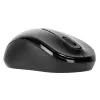 Targus AMW060EU hiiri Travel molempikätinen RF langaton optinen 1600 DPI