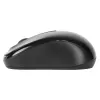 Targus AMW060EU hiiri Travel molempikätinen RF langaton optinen 1600 DPI