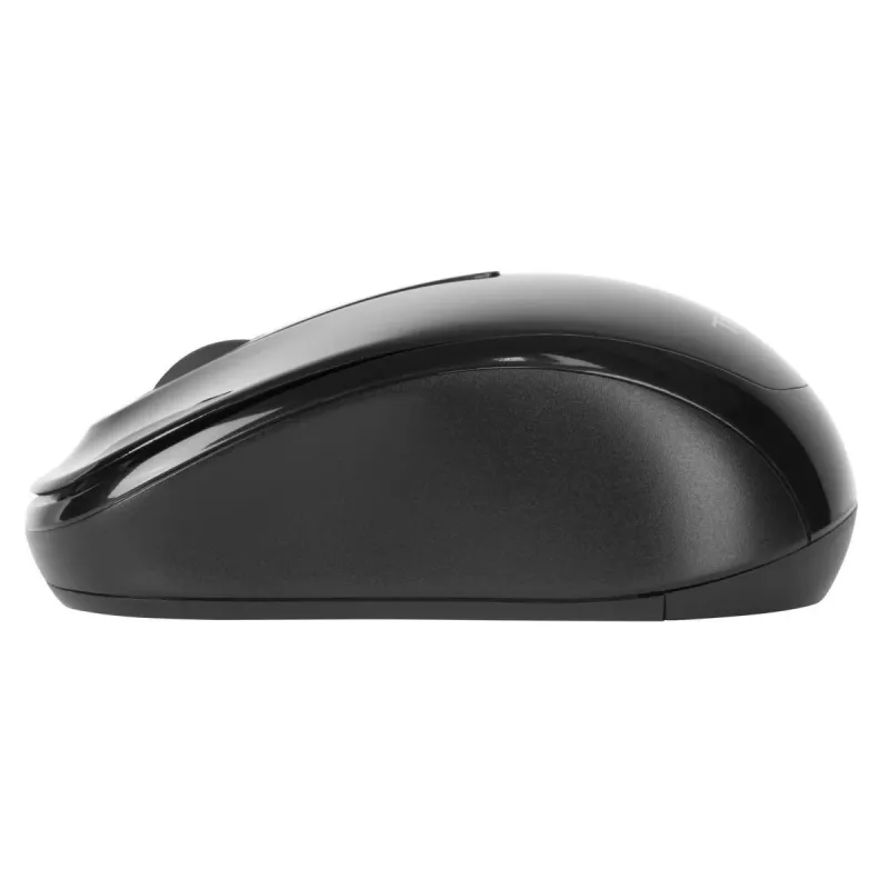 Targus AMW060EU hiiri Travel molempikätinen RF langaton optinen 1600 DPI