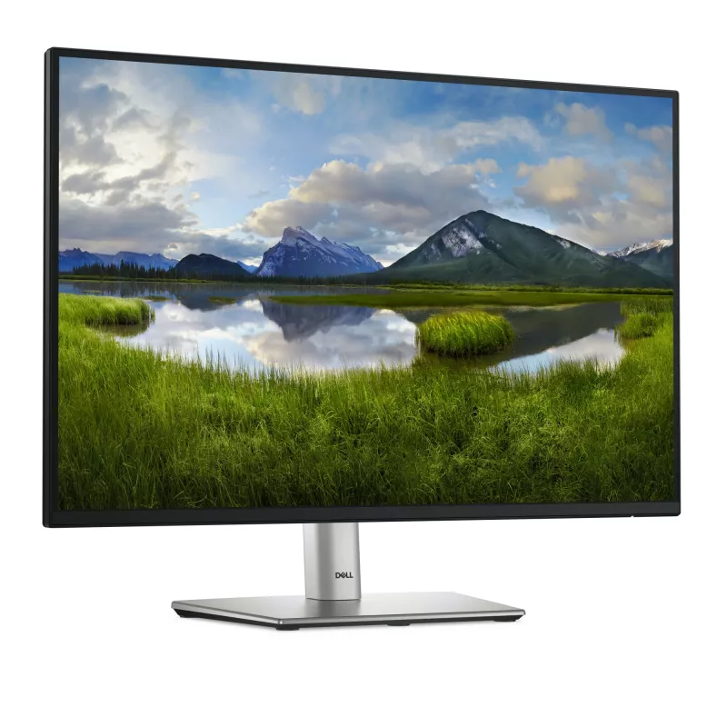 DELL Pro Plus P2425 tietokonenäyttö 61,1 cm (24,1 inch) 1920 x 1200 pikseliä WUXGA LCD musta