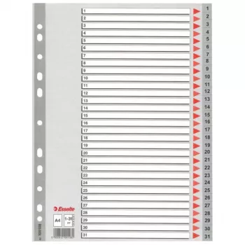 Esselte hakemisto 1-31 PP A4 harmaa, numeerinen rekisteri, polypropeeni (PP), A4, 225 mm, 297 mm, 1 kpl