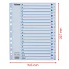Esselte 100149 välilehti polypropeeni (PP) valkoinen