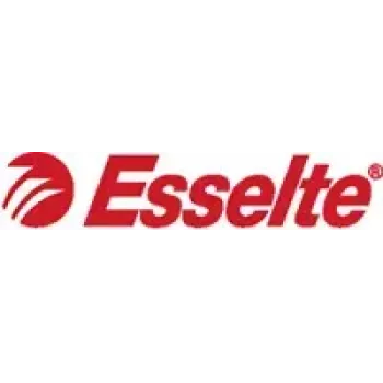 Kansio Esselte Esselte 49923