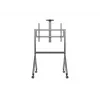 Multibrackets M Collaboration lattiateline 55