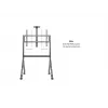 Multibrackets M Collaboration lattiateline 55