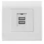 Intellinet 2-porttinen USB-A seinäpistorasia kannella, kaksi latausliitäntää turvakannella, 5 V / 2,1 A lähtö, 80 x 80 eurooppalainen kansi