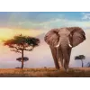 Clementoni African Sunset palapeli 500 palaa eläimet