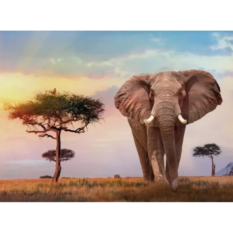 Clementoni African Sunset palapeli 500 palaa eläimet