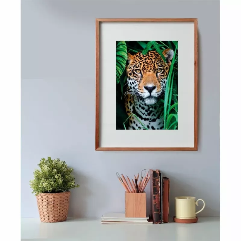Clementoni High Quality Collection Jaguar im Dschungel palapeli 500 palaa eläimet