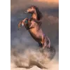 Clementoni 500 kpl CB HQC Wild Red Stallion